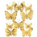 Floristik24 Wiosenny motyl z klipsem złota wiosenna dekoracja 6cm 10szt w komplecie