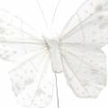 Floristik24 Motyl z piór na druciku biały z brokatem 10cm 12szt.