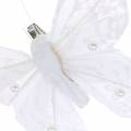 Floristik24 Piórkowy motyl na klipsie biały 10 cm 12 szt