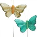 Floristik24 Motyl z brokatem, korki dekoracyjne, motylek piórkowy wiosenny żółty, turkusowy, zielony 4×6,5cm 24szt
