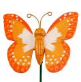 Floristik24 Korek dekoracyjny motyl pomarańczowy 6,5cm 24szt.