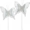 Floristik24 Motyle z pereł i Glimmer, Dekoracja ślubna, Motyl Feather na drutach White