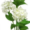 Floristik24 Gałąź śnieżki Sztuczna roślina Kwiat jedwabiu Biały Ø6,5 cm L78 cm