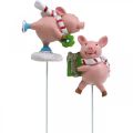 Floristik24 Dekoracyjna świnka Świąteczna świnka na szczęście zatyczka kwiatowa 4szt