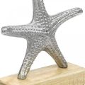 Floristik24 Rozgwiazda metalowa, dekoracja morska, rzeźba dekoracyjna srebrna, kolory naturalne wys.18cm