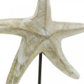 Floristik24 Rozgwiazda do postawienia, dekoracja z drewna morskiego w kolorze naturalnym, biała wys.23,5cm