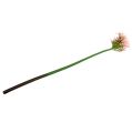 Floristik24 Kwiat jedwabiu agapant różowy 80cm
