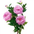 Floristik24 Kwiat jedwabiu piwonia sztuczny różowy fioletowy 135cm