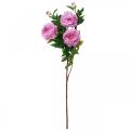 Floristik24 Kwiat jedwabiu piwonia sztuczny różowy fioletowy 135cm