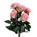 Floristik24 Kwiaty jedwabne róża Ø7cm L37cm antyczny róż 6szt.