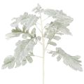 Floristik24 Sztuczna gałązka starzec, liść srebrny, misternie wykonana, 45 cm, 3 sztuki
