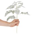 Sztuczna gałązka starzec, liść srebrny, misternie wykonana, 45 cm, 3 sztuki | Floristik24.pl