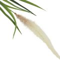 Floristik24 Srebrna trawa do włosów zielona roślina słodka trawa sztuczna 104cm