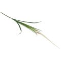 Floristik24 Srebrna trawa do włosów zielona roślina słodka trawa sztuczna 104cm