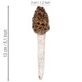 Sztuczny smardz ozdobny do doniczek i stołu, 13 cm, 2 sztuki | Floristik24.pl