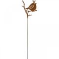 Floristik24 Wtyczka do dekoracji ogrodu patyna metalowy ptak z koroną 6 sztuk