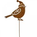 Floristik24 Ptak ogrodowy z czapeczką patynowana dekoracja 12cm 6szt