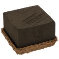 Floristik24 Gąbka florystyczna 1/2 kostki OASIS® Renewal® Biolit® 12 cm 2 szt.