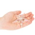 Dekoracyjne ozdoby w kształcie gwiazdek, opalizujący przezroczysty akryl, ozdoby choinkowe, 9 cm, 6 sztuk | Floristik24.pl