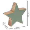 Drewniany zestaw dekoracyjny w kształcie gwiazdki na stół i parapet, 5cm, 9 elementów | Floristik24.pl