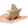 Dekoracyjna gwiazda bożonarodzeniowa na stół lub półkę, 10cm, 3 sztuki | Floristik24.pl