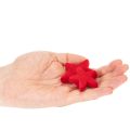 Mała dekoracyjna gwiazda, dekoracja flokowana, 5 cm, 40 sztuk | Floristik24.pl