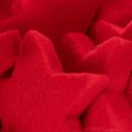 Mała dekoracyjna gwiazda, dekoracja flokowana, 5 cm, 40 sztuk | Floristik24.pl