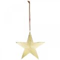 Floristik24 Złota gwiazda, dekoracja adwentowa, wisiorek dekoracyjny na Boże Narodzenie 12×13cm 2szt