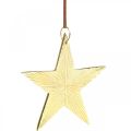 Floristik24 Złota gwiazda, dekoracja adwentowa, wisiorek dekoracyjny na Boże Narodzenie 12×13cm 2szt
