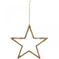 Floristik24 Błyszczące gwiazdki, ozdoby adwentowe, ozdoby gwiazdkowe do powieszenia, ozdoby świąteczne złote 11,5 × 12 cm 12 sztuk