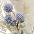 Srebrny listek kula ziemska oset paproć sztuczne kwiaty krem 56cm pęczek