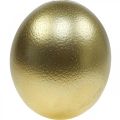 Floristik24 Dekoracja dmuchanego jajka strusiego Dekoracja wielkanocna złota Ø12cm W14cm