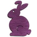 Floristik24 Dekoracja rozproszona Wielkanocne drewniane króliczki siedzące kolorowe 2,5cm x 4cm 72szt