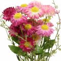 Rhodanthe różowo-różowe, jedwabne kwiaty, sztuczna roślina, bukiet słomianych kwiatów dł.46cm