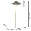Sztuczny sukulent wosk sztuczna roślina z drutem 8cm 8szt | Floristik24.pl