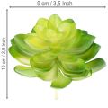 Sztuczna roślina sukulent, zielona, do dekoracji w misce lub wazonie, 10 cm, 4 sztuki | Floristik24.pl