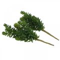 Floristik24 Soczysta sztuczna zielona roślina do przyklejenia 25 cm zielona 2 szt.