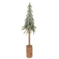 Floristik24 Sztuczna jodła, wykończenie w kolorze lodu, na drewnianej podstawie, dekoracja zimowa, 60 cm