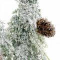 Floristik24 Jodła ze śniegiem, dekoracja adwentowa, zimowy las dł.16,5cm wys.28cm