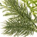 Sztuczna gałązka jodły do dekoracji świątecznych, 22 cm, 2 szt. | Floristik24.pl