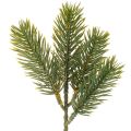 Floristik24 Sztuczna zielona gałązka jodły do dekoracji zimowych, 25 cm, 24 sztuki