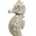 Floristik24 Seahorse Deco Dekoracja Morska z Białego Drewna Rysunek W38cm