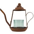 Floristik24 Świecznik na tealighty, czajniczek z rdzawego szkła, Ø13cm, W22cm