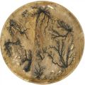 Płyta dekoracyjna drewno natura, efekt spękań złota mango Ø30