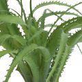 Floristik24 Aloes sztuczny zielony sztuczna roślina do przyklejania zielonej rośliny 38Øcm