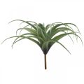 Floristik24 Deco Tillandsia sztuczna roślina sztuczna do przyklejenia zielona Ø45cm