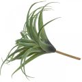 Floristik24 Deco Tillandsia sztuczna roślina sztuczna do przyklejenia zielona Ø45cm