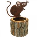 Floristik24 Drewniana doniczka doniczka z drewna wygląda na rdzawą mysz wys. 24 cm
