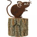 Floristik24 Drewniana doniczka doniczka z drewna wygląda na rdzawą mysz wys. 24 cm