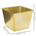 Metalowa doniczka z błyszczącym motywem jodły, 18 cm | Floristik24.pl
